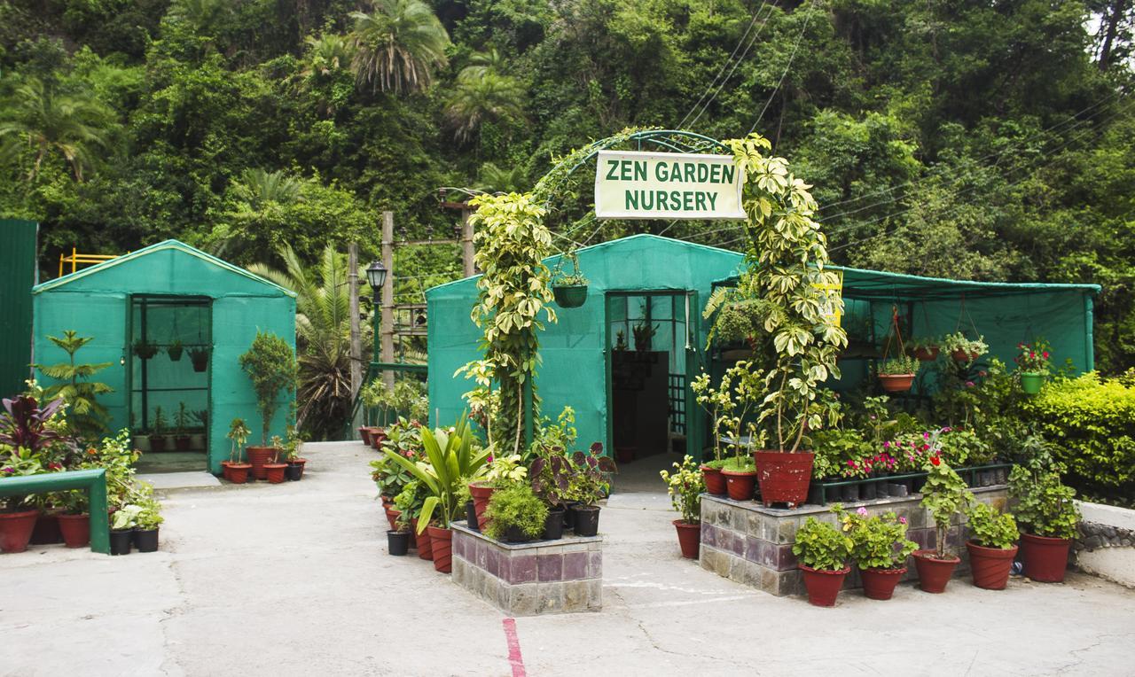Savoy Greens Kasauli Exterior photo